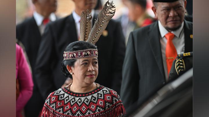 Puan Maharani Ungkap Alasan Program Food Estate Prabowo Tuai Kritik PDIP